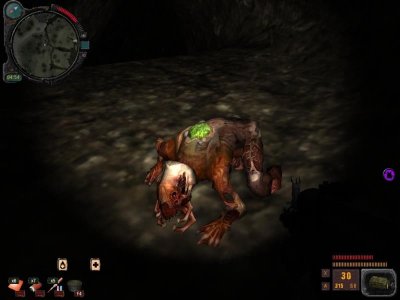 ������� ���� � ������