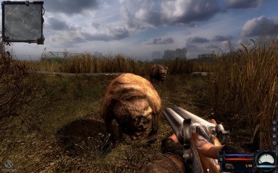 ������� ����� �����������