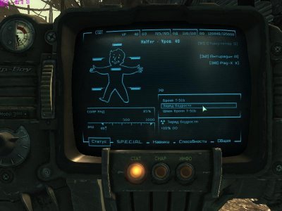 Fallout 3 � ������