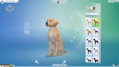 ���� 4 ������� ������