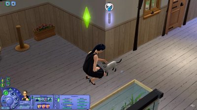 Sims 2 ��������