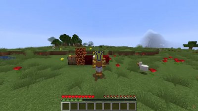 ��������� 2009 ����