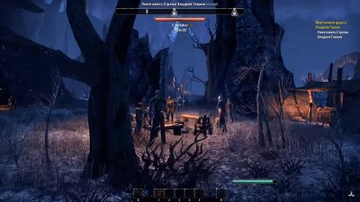 The Elder Scrolls Online ��������