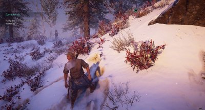 Assassin's Creed Valhalla ��������