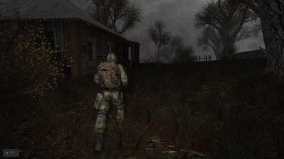 ������� Catalyst Complementation