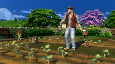 ���� 4 ���������� �����